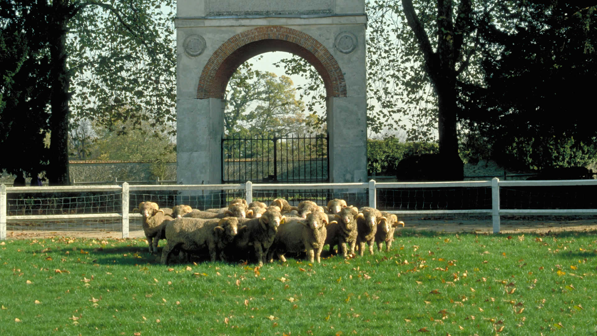 Voyage organisé en autocar pour une visite guidée de la Bergerie Nationale de Rambouillet en groupe, une excursion ludique et culturelle